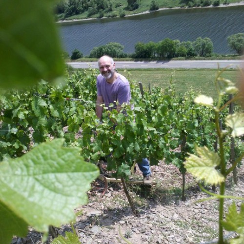 der Winzer bei der Bodenarbeit im Frühjahr