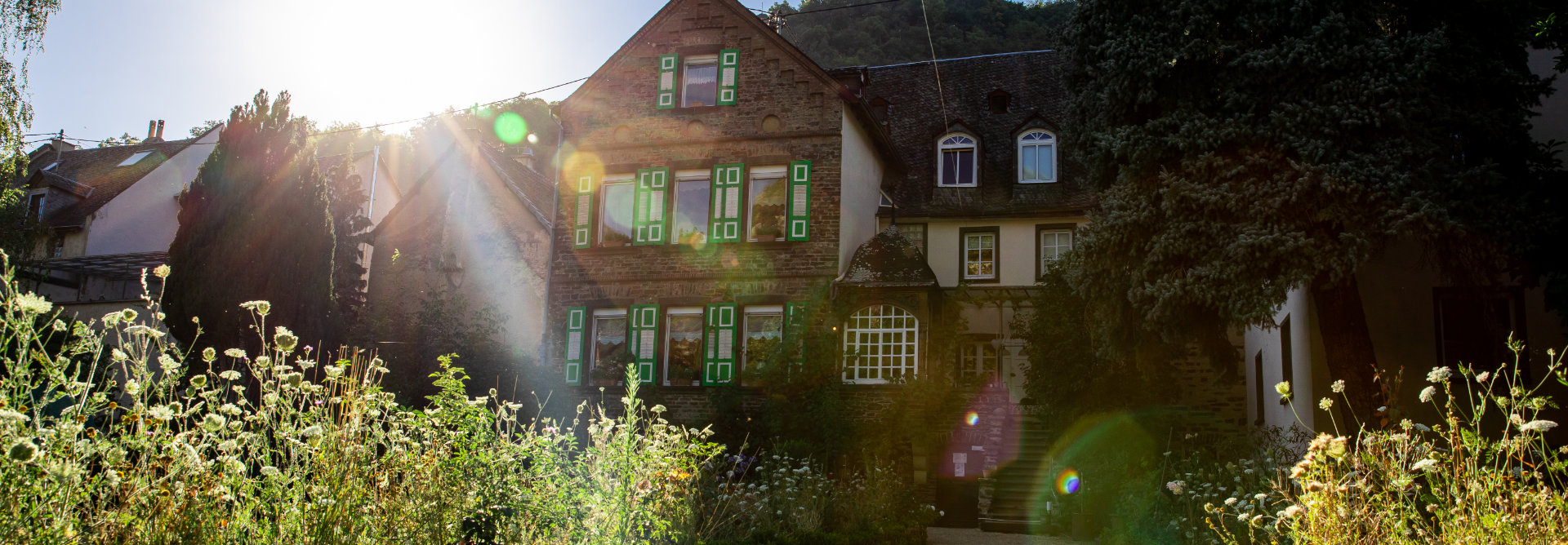 Wein aus den sonnigen Lagen der Terrassenmosel